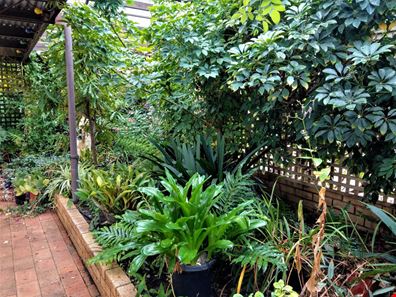 8 SOUTH ROAD, Lake Grace WA 6353