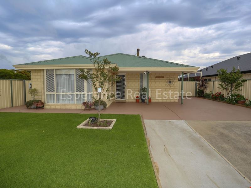 13 Princess Street, Pink Lake WA 6450