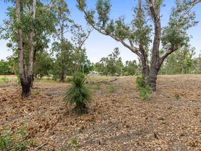 10 Wilson Street, Nannup WA 6275