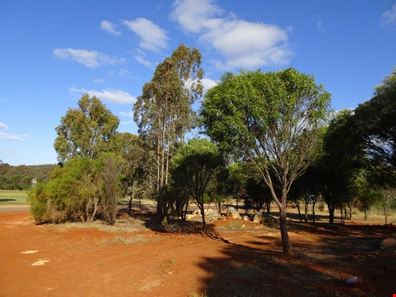 1A Fry Street, Williams WA 6391