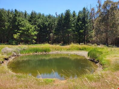 Lot 101 Wellington Mill Road, Wellington Mill WA 6236