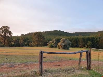 Lot 101 Wellington Mill Road, Wellington Mill WA 6236