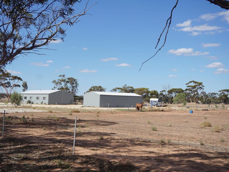 Lot 940 Long Street, Moora WA 6510