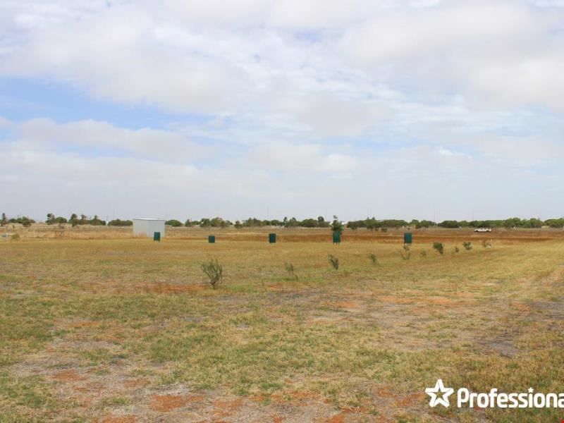 84 Sadler Way, Deepdale WA 6532