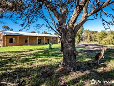1107 Allanooka Springs Road, Mount Hill WA 6528