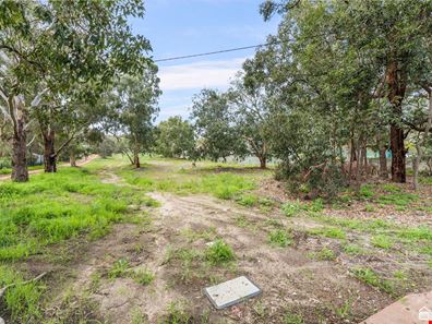 68 Connell Avenue, Martin WA 6110