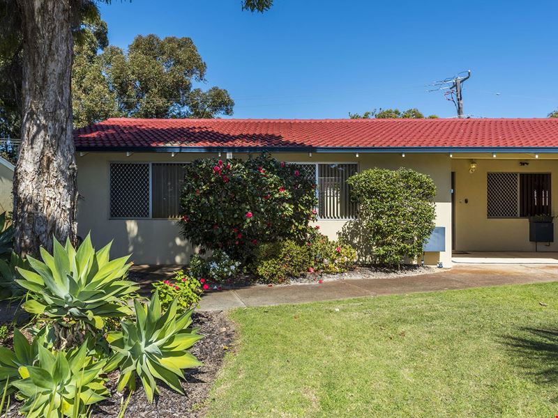 6/10 Houtmans Street, Shelley WA 6148