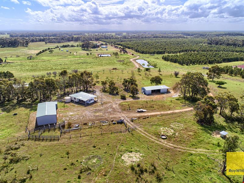 434 Norton Road, Redmond