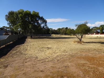 23 Nalder Street, Wagin WA 6315