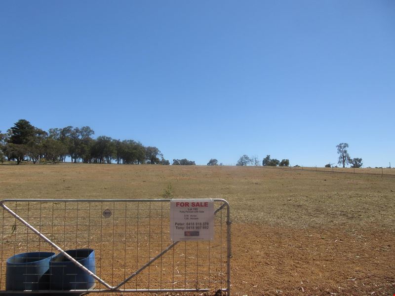 Lot 193, 12 Mauravillo Blvd, Wundowie WA 6560