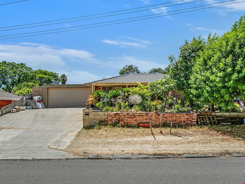 22 Wintersweet Ramble, Mirrabooka WA 6061