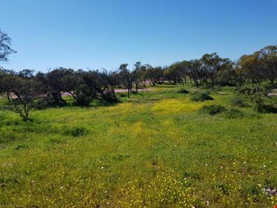 3352/ Beatty Haselby Rd, Naraling WA 6532