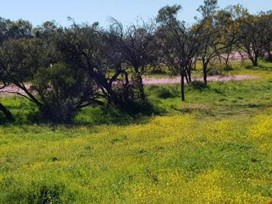 3352/ Beatty Haselby Rd, Naraling WA 6532
