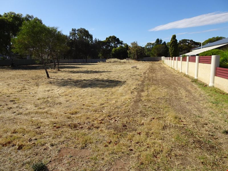 25 Nalder  Street, Wagin WA 6315