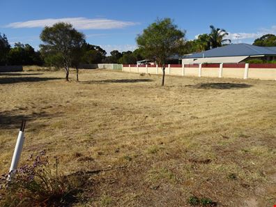 25 Nalder  Street, Wagin WA 6315