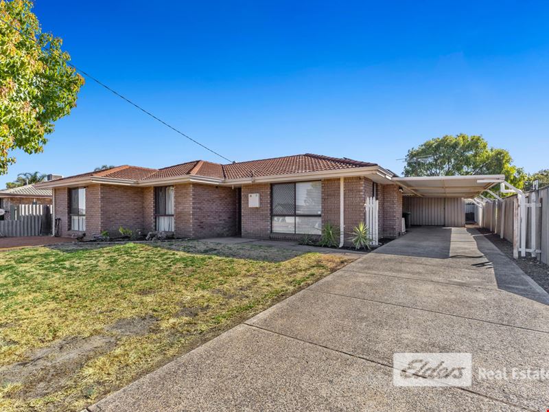 16 Shannon Way, Collie