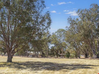 4 Payne Road, Capel WA 6271