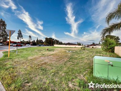 4 Seddon Way, Canning Vale WA 6155