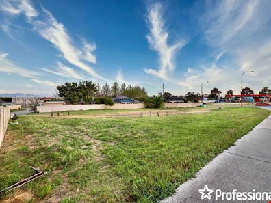 4 Seddon Way, Canning Vale WA 6155