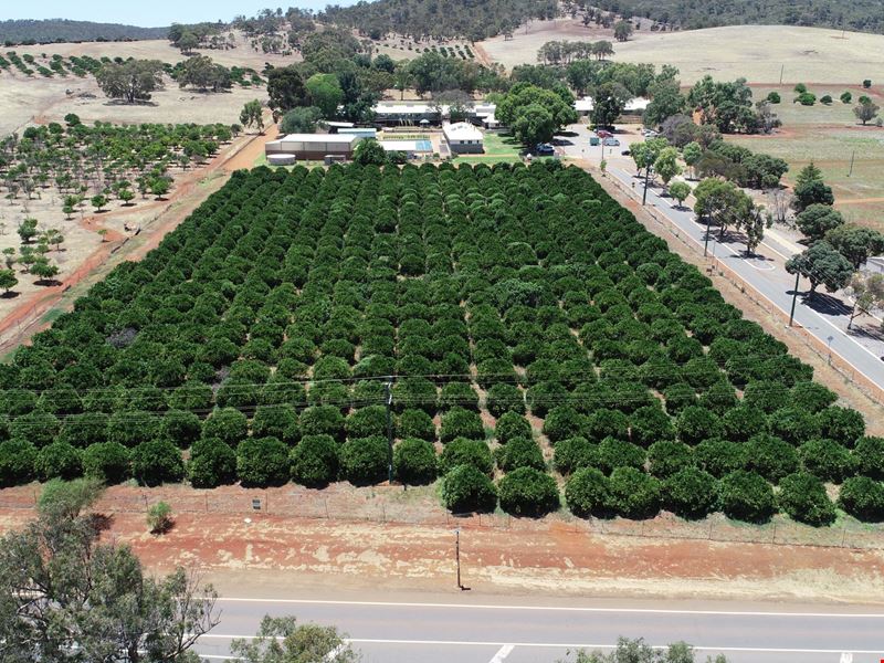 Lot 2,  Gt Northern Highway, Bindoon WA 6502