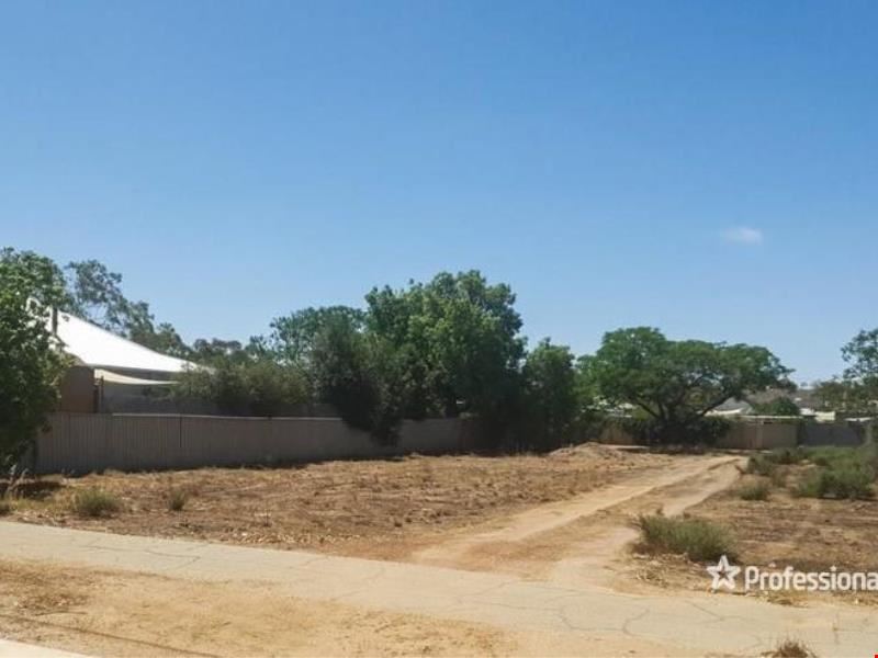 12 Gamenya Avenue, Merredin WA 6415