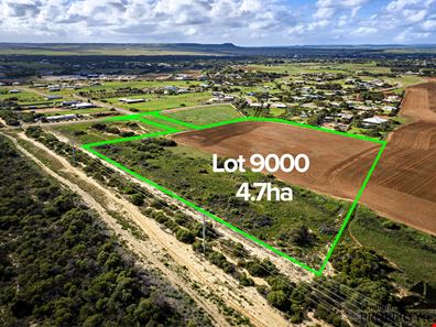 Lot 9000 Moloney Street, Utakarra WA 6530