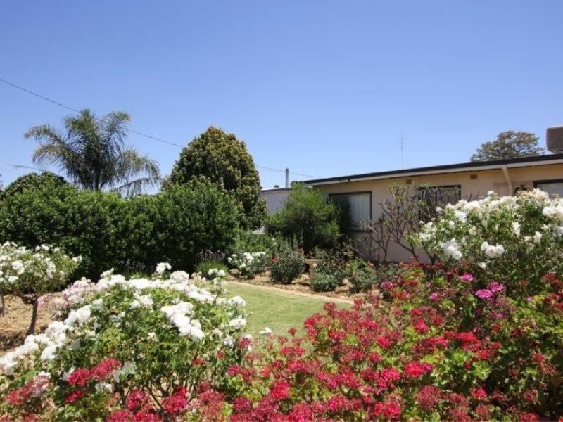 41 Thomas Street, Narembeen