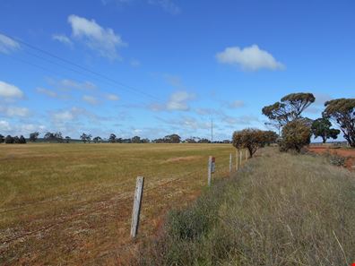 Lot 398 Chillicup Road, Broomehill Village WA 6318