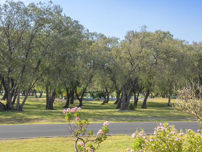 24 Cookworthy Street, Geographe WA 6280