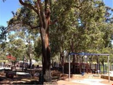 52B Virgil Avenue, Yokine WA 6060