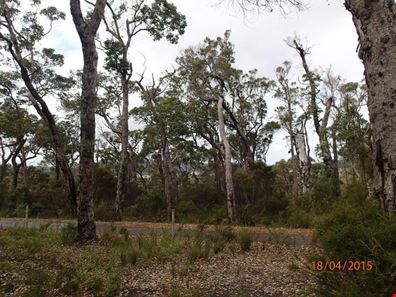 81 Karri Street, Walpole WA 6398