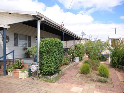 29 Venn Street, Collie WA 6225