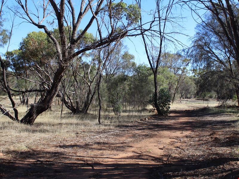 112 Munro Street, Cuballing WA 6311