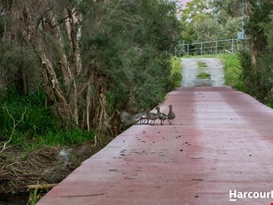 1849 Great Northern Highway, Bullsbrook WA 6084