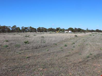 198 Dowerin-Meckering Rd, Meckering WA 6405