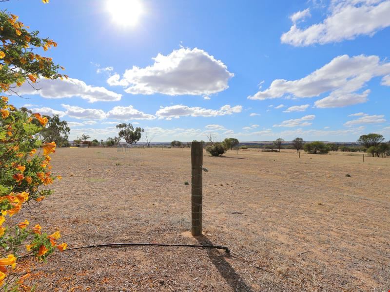 3083 Quellington Rd, Meckering WA 6405