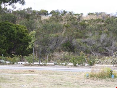 15 Mcwhirter Promenade, Wellard WA 6170