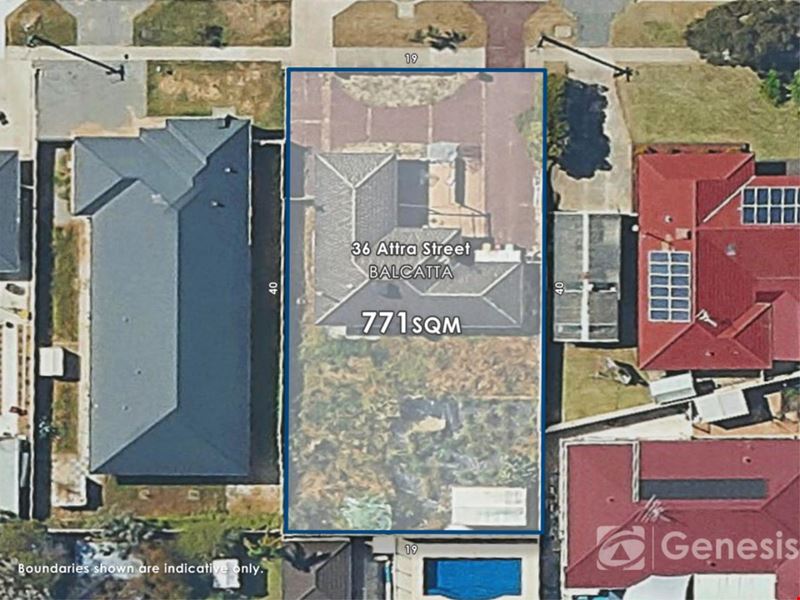 36 Attra Street, Balcatta WA 6021