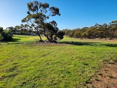 99 Martin Street, Ravensthorpe WA 6346