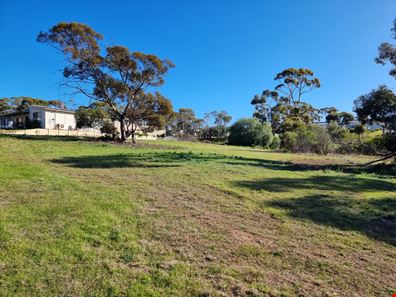 99 Martin Street, Ravensthorpe WA 6346