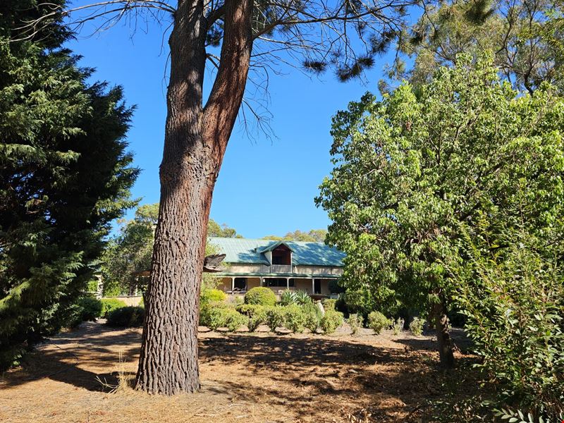 18 Willy Wagtail Close, Lake Clifton