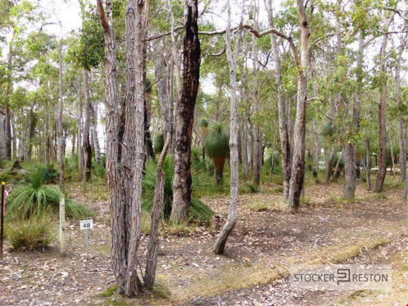 48 Sabina Drive, Molloy Island WA 6290
