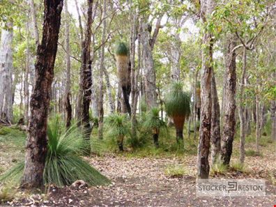 48 Sabina Drive, Molloy Island WA 6290