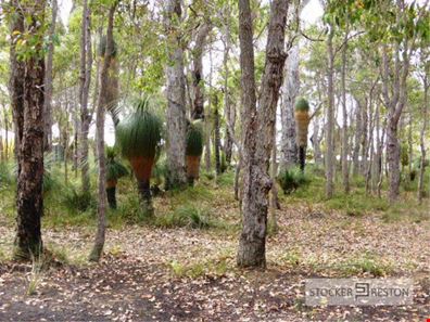 48 Sabina Drive, Molloy Island WA 6290
