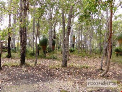 48 Sabina Drive, Molloy Island WA 6290
