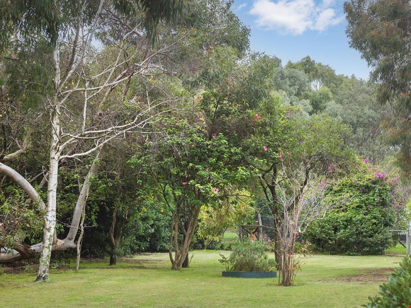 12 Lincoln Street, Boyanup WA 6237