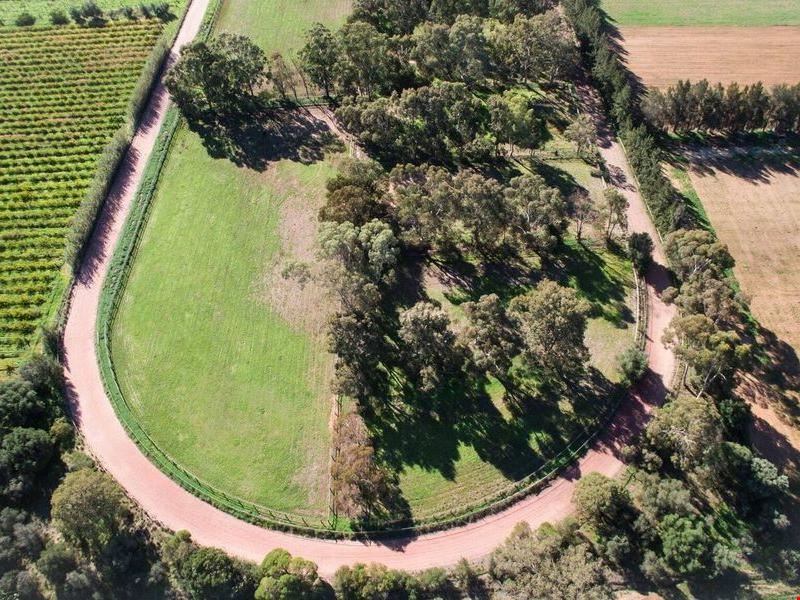 256 Haddrill Road, Baskerville WA 6056