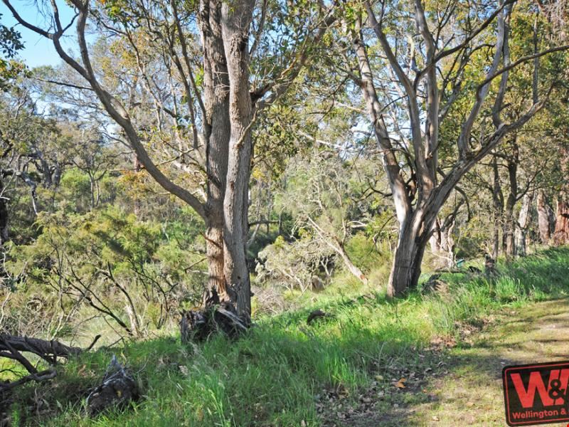 Weston Ridge, Willyung WA 6330