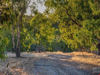 21 Evelyn Place, Bullsbrook WA 6084
