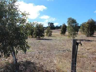8 Boolok Avenue, Wundowie WA 6560